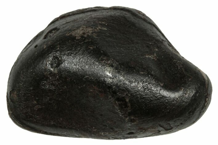 Fusion Crusted Sikhote-Alin Iron Meteorite ( g) - Russia #334572